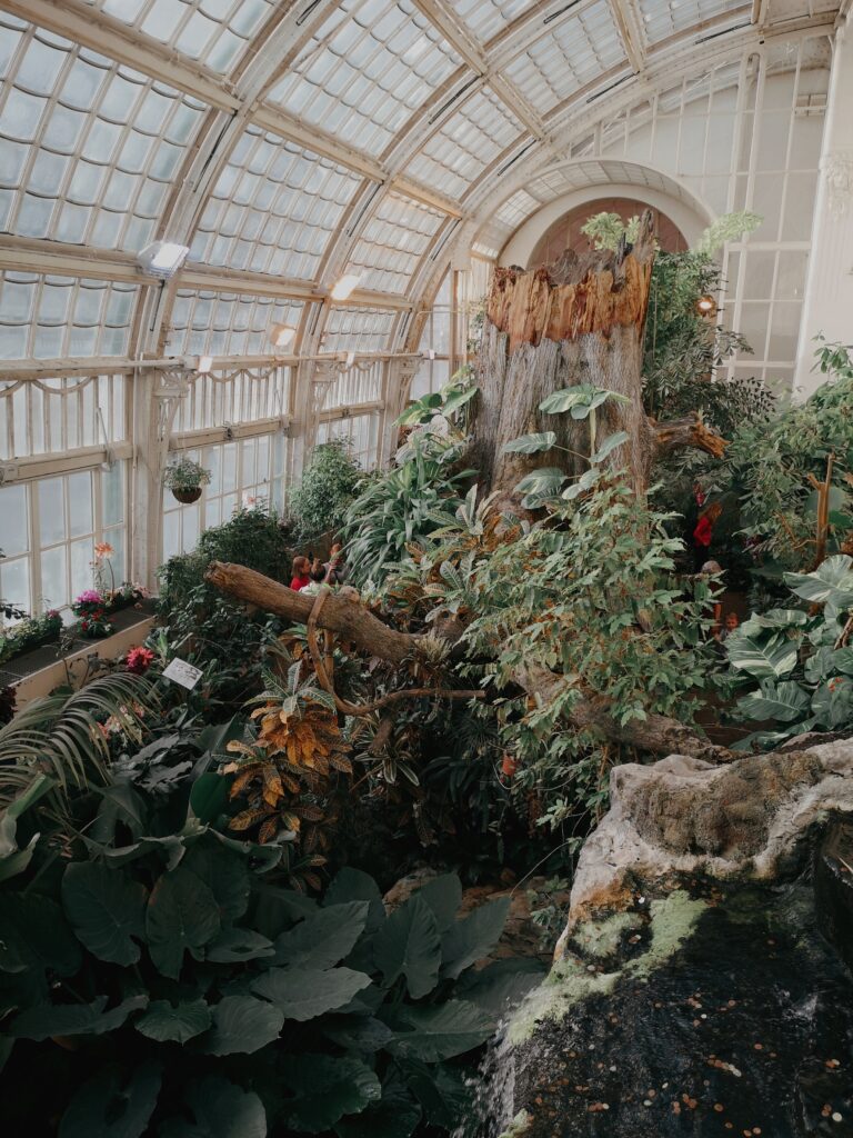 The whole place is like a greenhouse